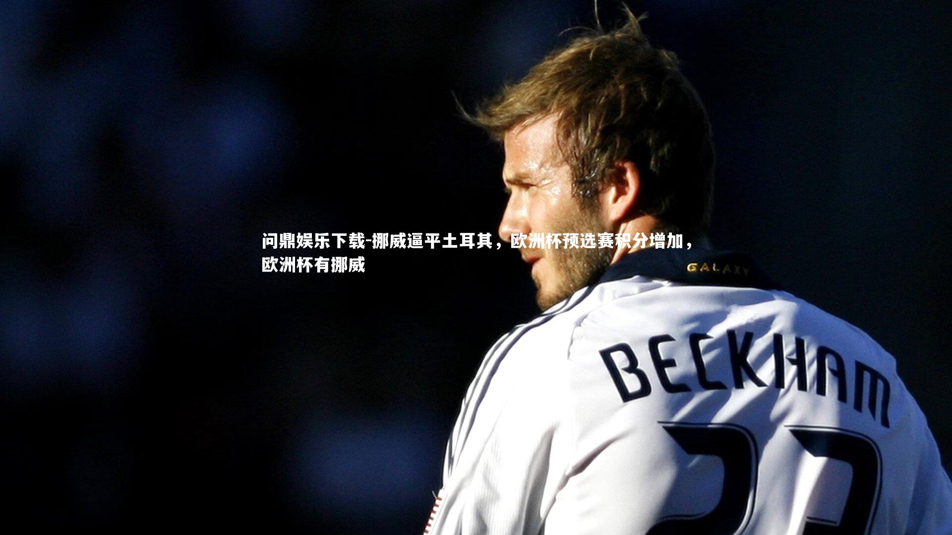 挪威逼平土耳其，欧洲杯预选赛积分增加，欧洲杯有挪威