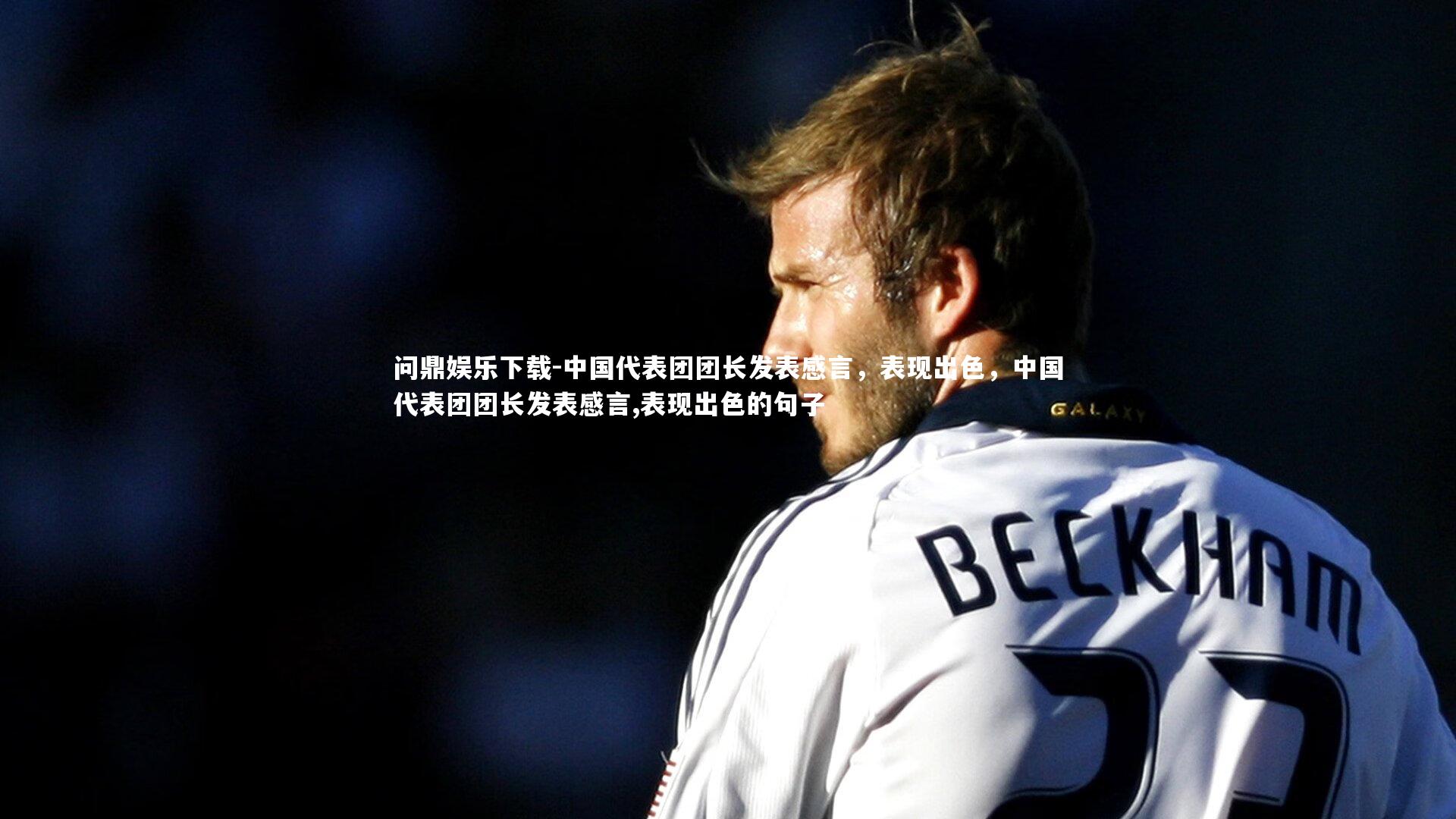 中国代表团团长发表感言，表现出色，中国代表团团长发表感言,表现出色的句子