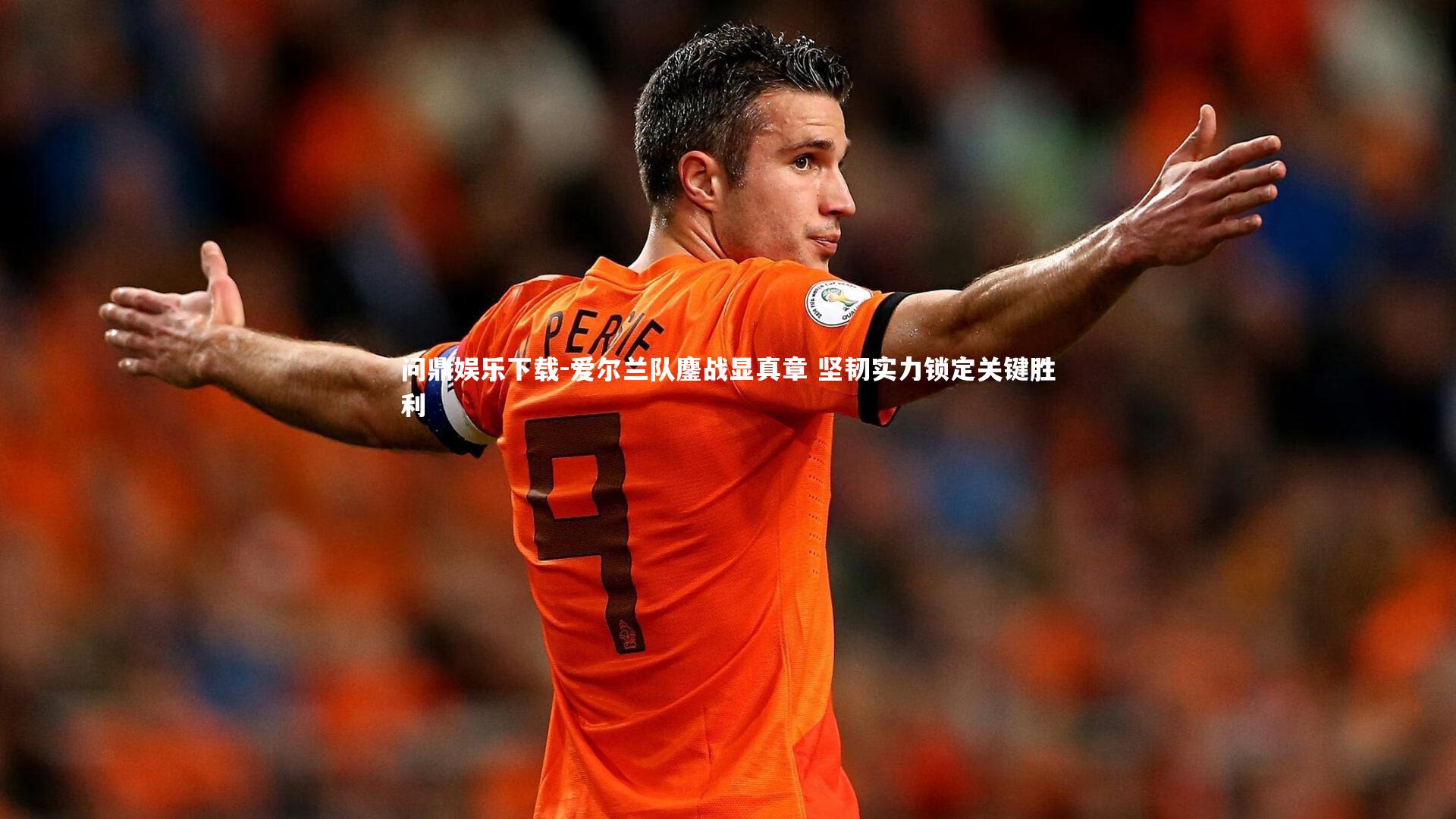 爱尔兰队鏖战显真章 坚韧实力锁定关键胜利